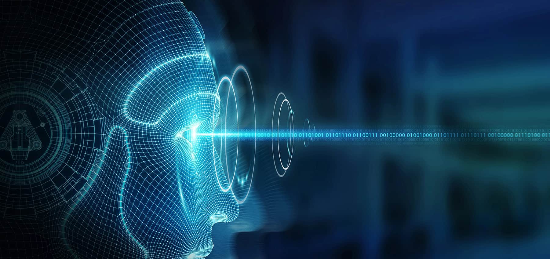 Concept of a human as AI
